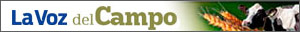 La voz del campo